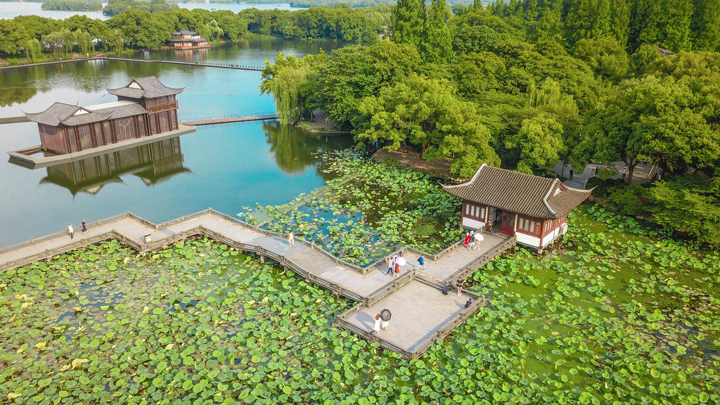 曲院风荷