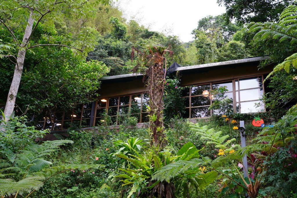 秘境苓兰荷花池 基隆婚纱景点 芳裕农场x玛陵坑苓兰生态农园