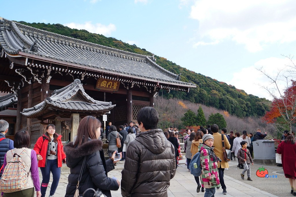 含大阪到清水寺交通/賞楓時間/門票/京都自由行景點