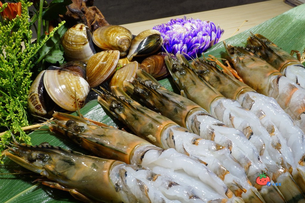 三重火鍋 京澤日式鍋物爆漿叉燒飯 衣服脫好的蝦最美味 每日漁市現撈 小芝芝 雞不擇食玩樂blog