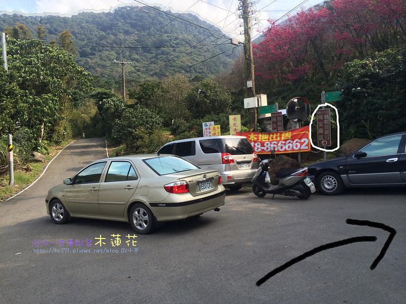 台北賞花景點 淡水祕境清幽花園 楓樹湖古道 四爺鍾愛水澤木蘭 蓮 花園地圖 交通資訊懶人包 小芝芝 雞不擇食玩樂blog